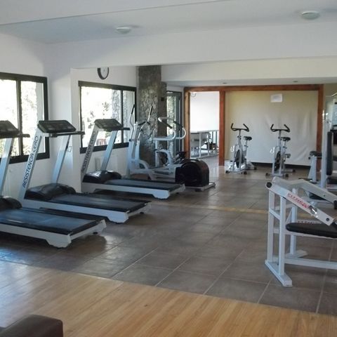 Gimnasio